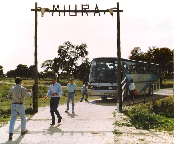 Miura