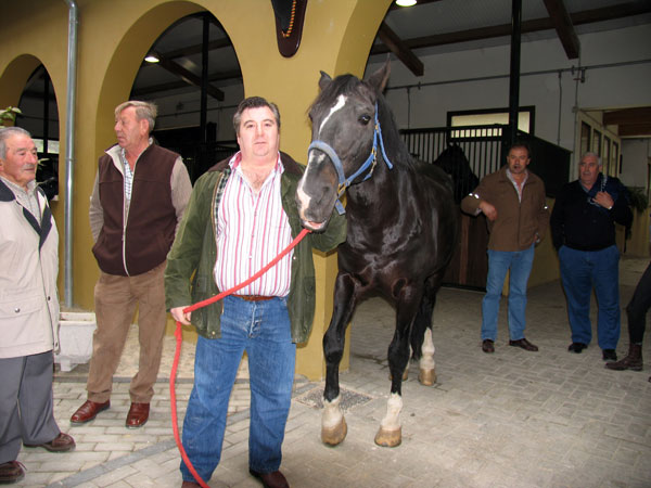 Pablo Hermoso de Mendoza