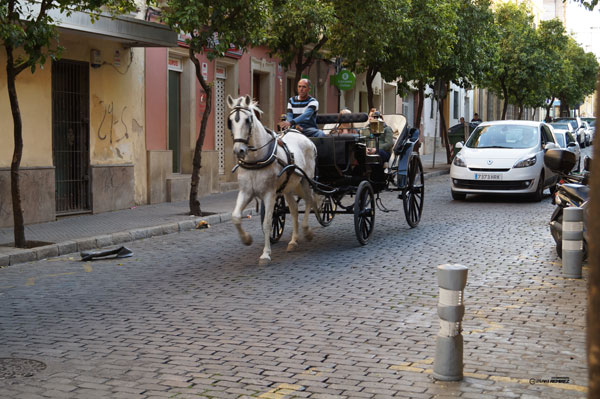 Jerez