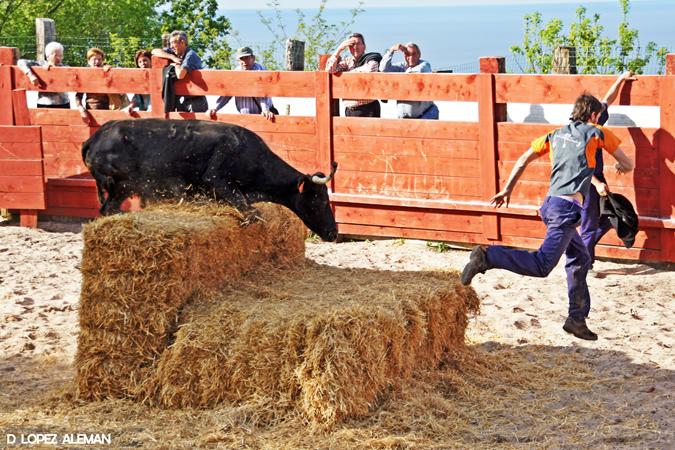 Ganadera Marqus de Saka