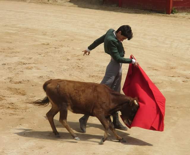 Ganadería Bañuelos