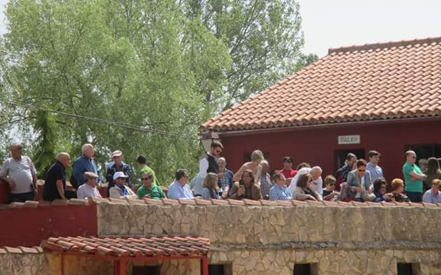 Ganadería Bañuelos