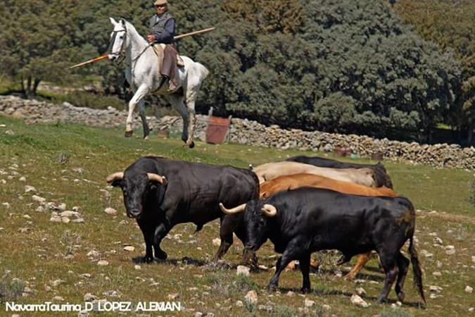 Los Eulogios