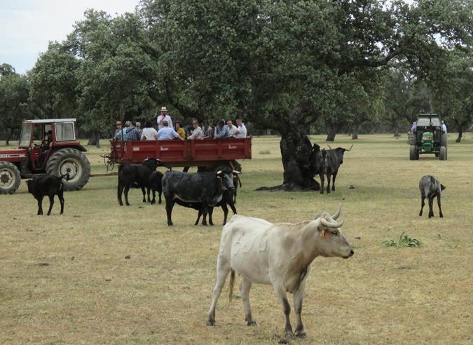 Finca Pablo Mayoral