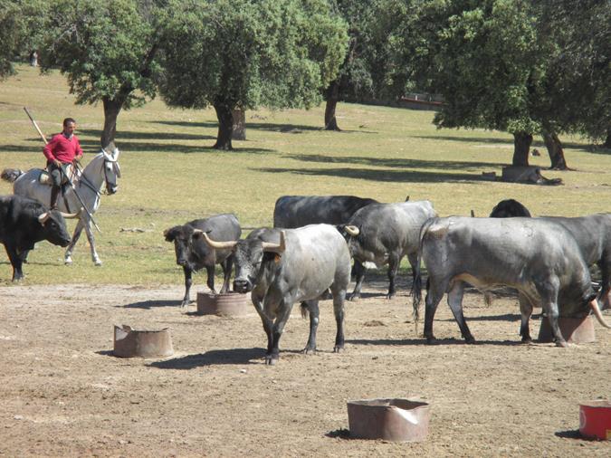 Finca José Escolar Gil