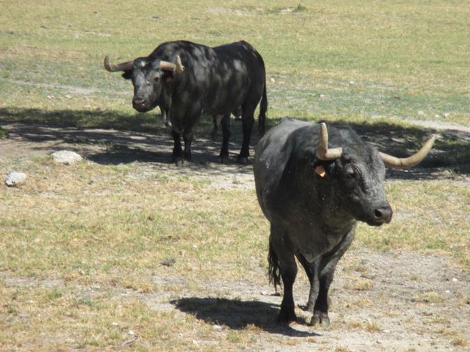 Finca José Escolar Gil