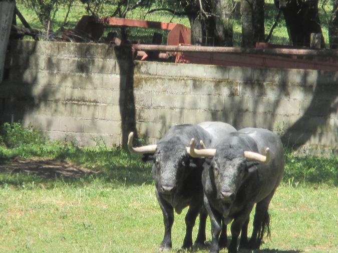 Finca José Escolar Gil