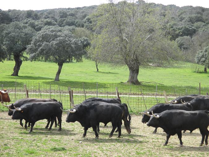 Finca Puerto San Lorenzo