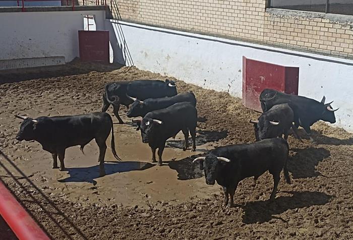 Raso de Portillo