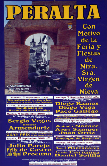 Cartel Feria 2008