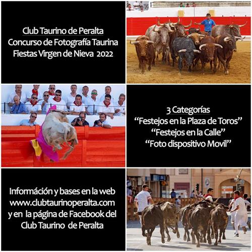 Concurso fotografía taurina 2022