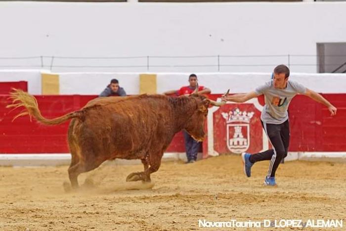 Vaquillas