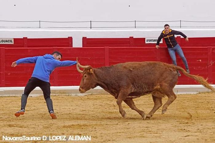 Vaquillas