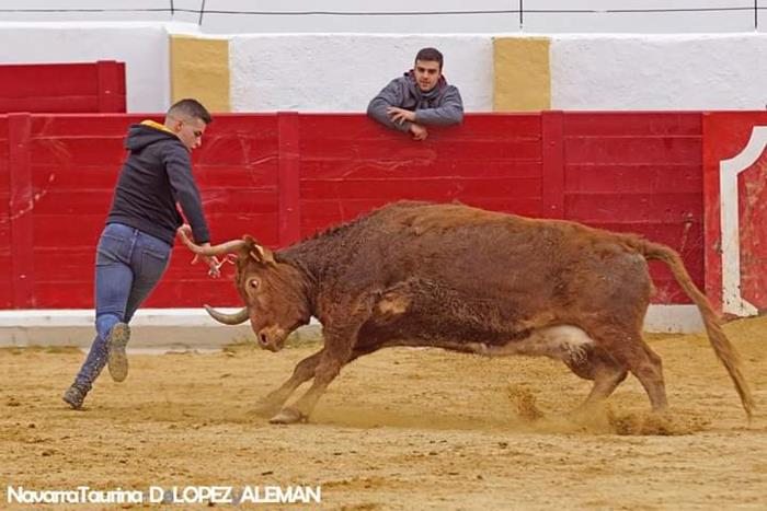 Vaquillas