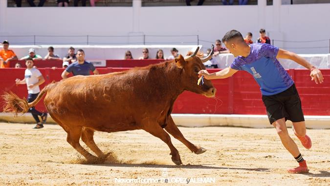 Suelta de vaquillas