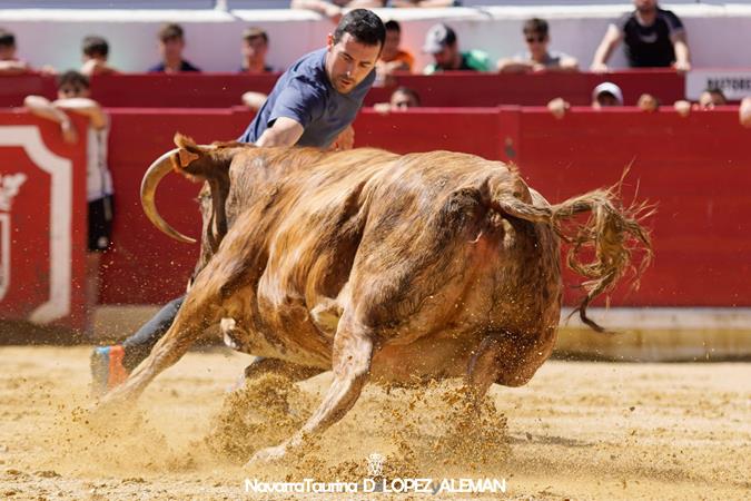 Suelta de vaquillas