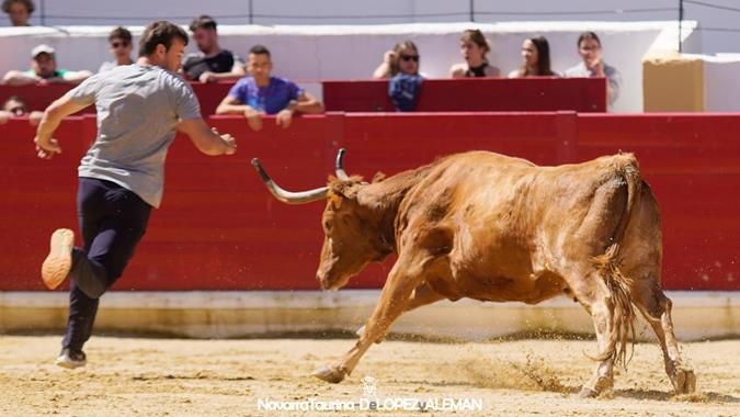 Suelta de vaquillas