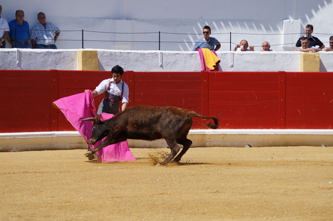 Francisco Expósito