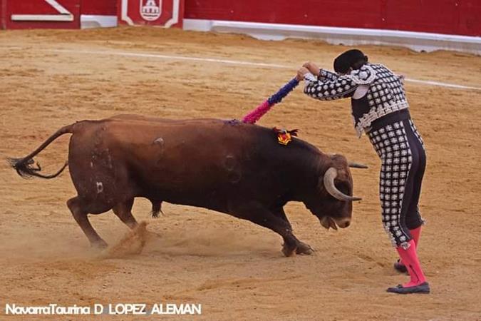 Mejor par de banderillas