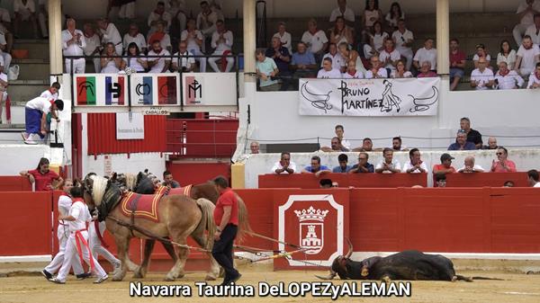 Vuelta al ruedo
