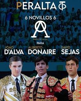 Cartel