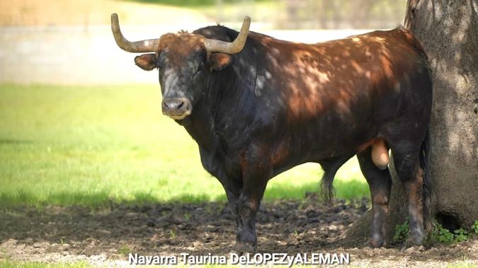 Hermanos Garc&iacute;a Jim&eacute;nez