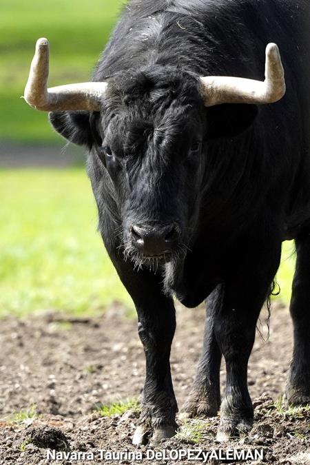 Hermanos Garc&iacute;a Jim&eacute;nez