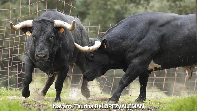Juan Luis Fraile - Mar&iacute;a Casc&oacute;n