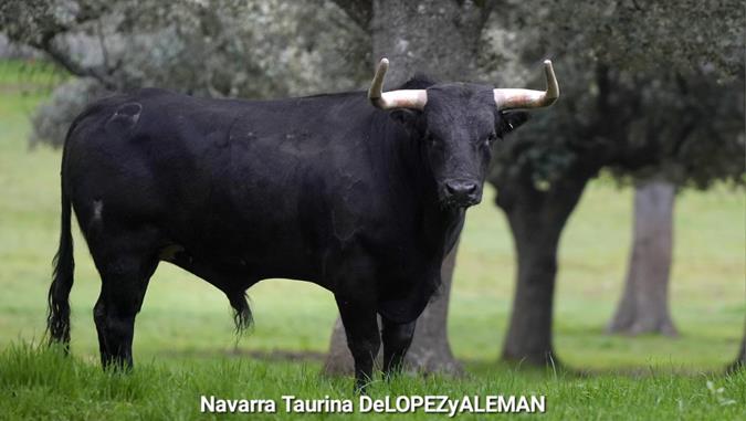 S&aacute;nchez y S&aacute;nchez