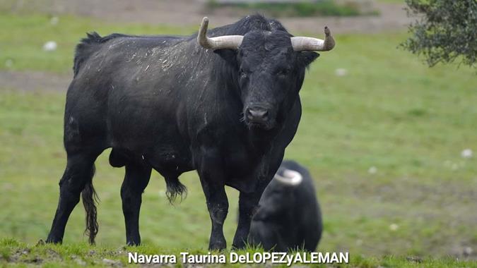 S&aacute;nchez y S&aacute;nchez