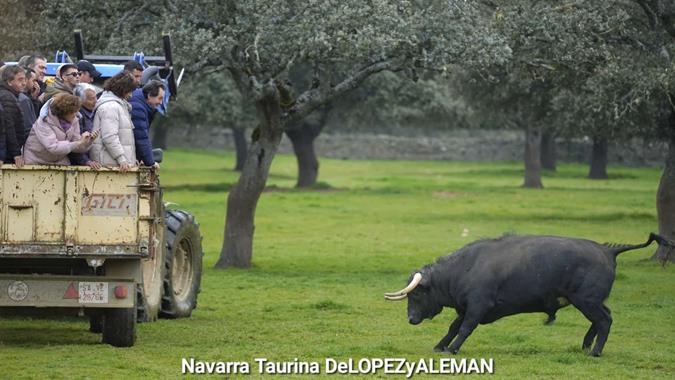 S&aacute;nchez y S&aacute;nchez
