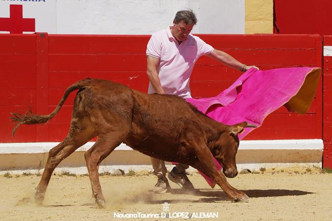 Suelta de vaquillas Suelta de vaquillas
