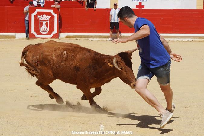 Suelta de vaquillas Suelta de vaquillas