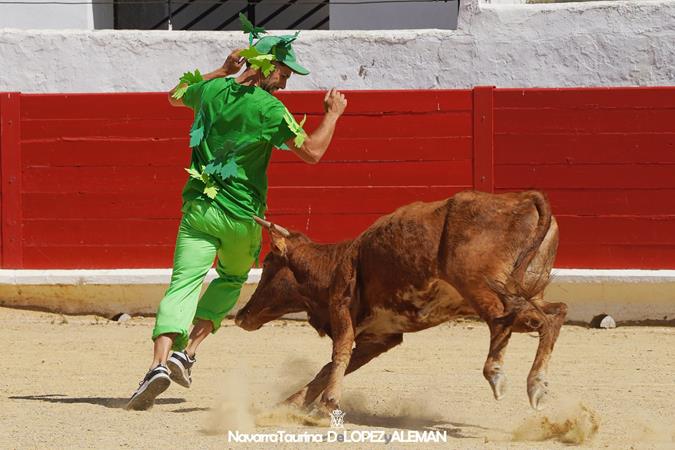 Suelta de vaquillas Suelta de vaquillas