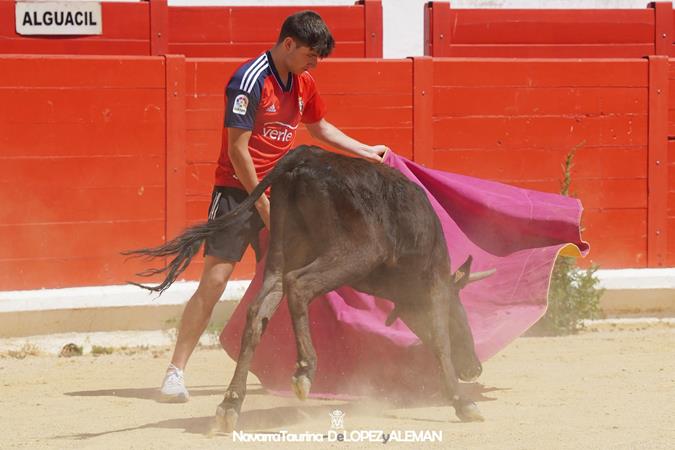 Suelta de vaquillas Suelta de vaquillas