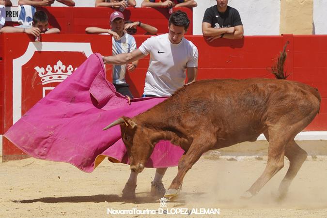 Suelta de vaquillas Suelta de vaquillas